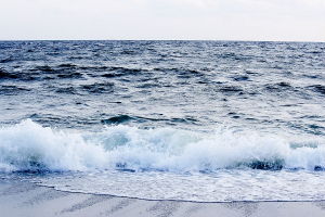 edge of the surf
