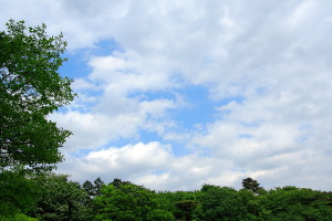 cloudy sky over inokashira west park
