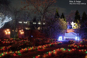 illuminated garden