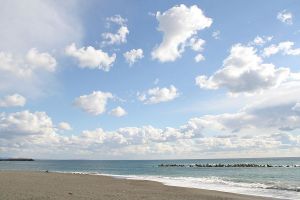 relaxing scenery of the beach