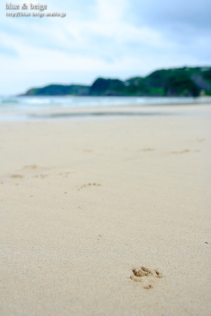 footprints on beach